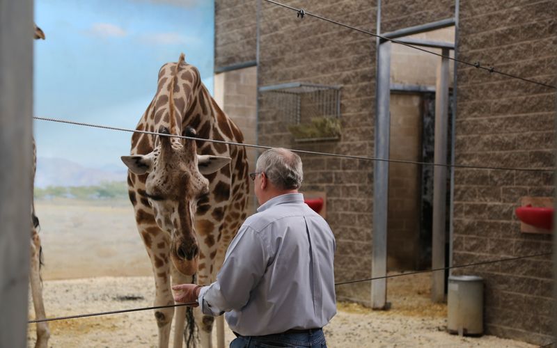 Bronx Zoo - Tierpark der Superlative