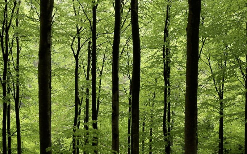 Frankreich - Wild und Schön