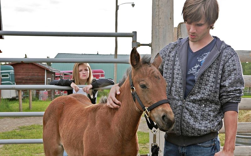 Heartland - Paradies für Pferde