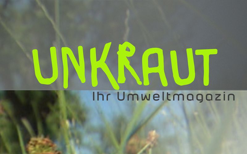 Unkraut - Stein statt Baum: Wie viel Natur zerstören wir für den Kiesabbau?