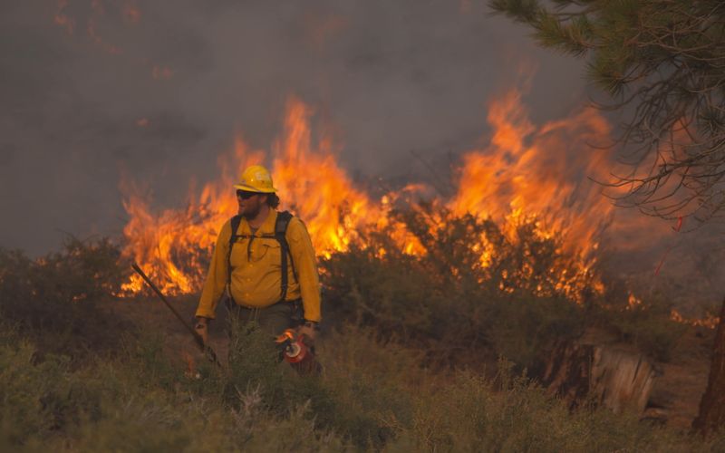 Im Zauber der Wildnis - Ein kalifornischer Traum: Der Yosemite-Nationalpark