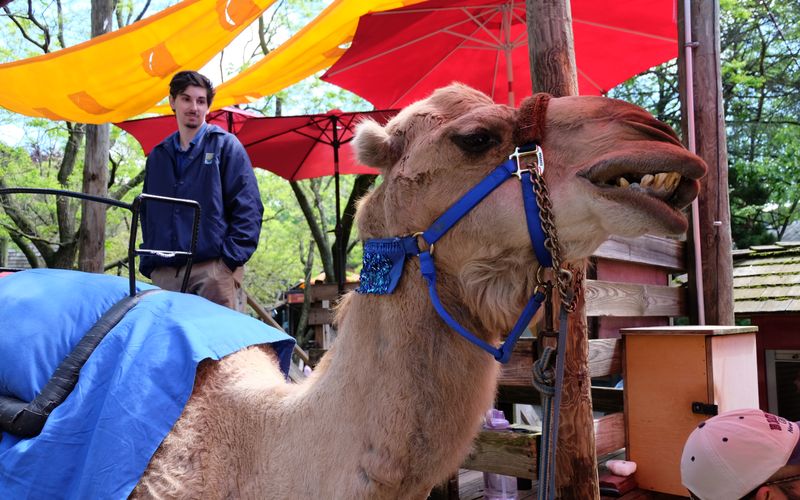 Bronx Zoo - Tierpark der Superlative