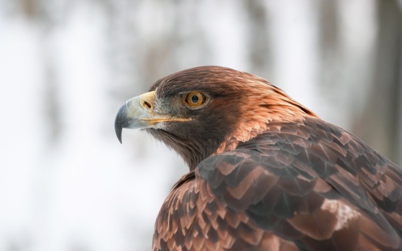 Bronx Zoo - Tierpark der Superlative